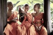 2013 Photo Challenge - Enter now!