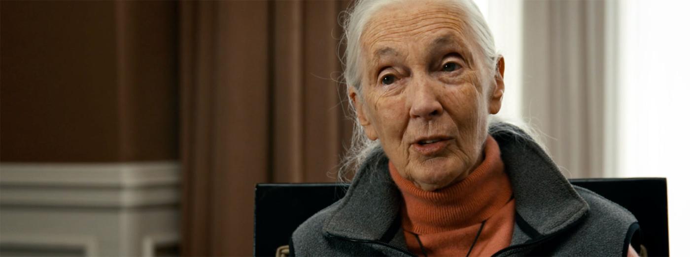 Dr. Jane Goodall, in an interview for The Last Tourist.