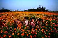 2012 Photo contest finalists have been posted
