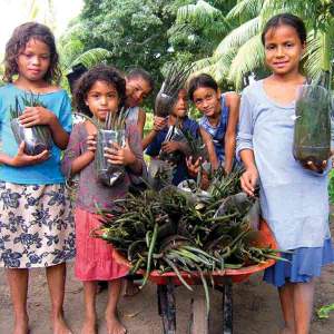 A Second Chance for Honduras&rsquo; Mangroves
