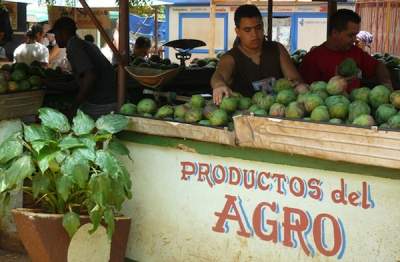 DIY Dining in Havana