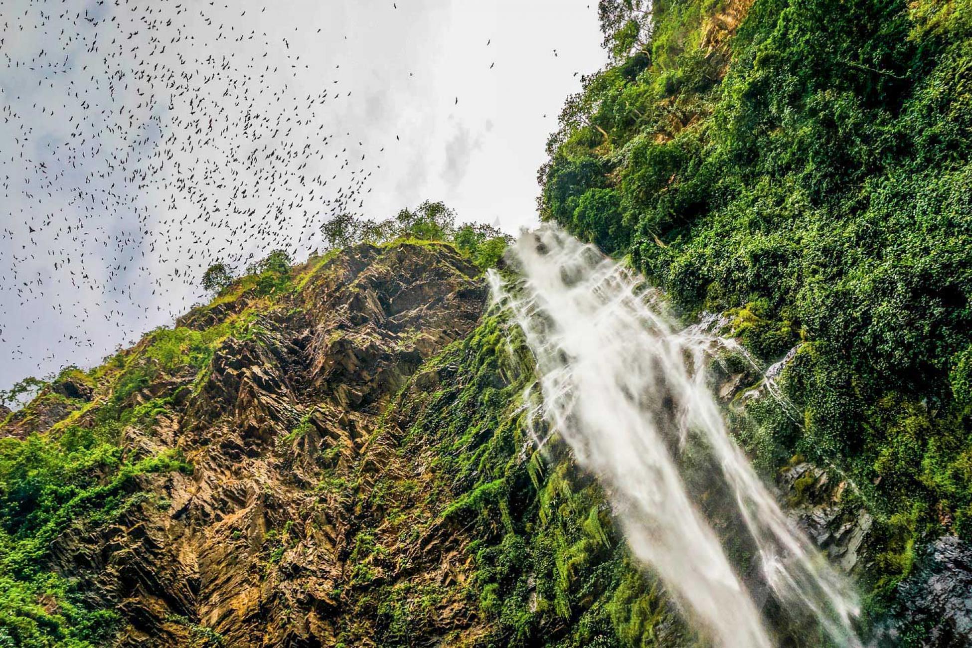 Thousands of bats fly overhead near the Wli Waterfalls in the Volta Region Ghana. This photo was shortlisted as part of Verge’s annual photo contest.