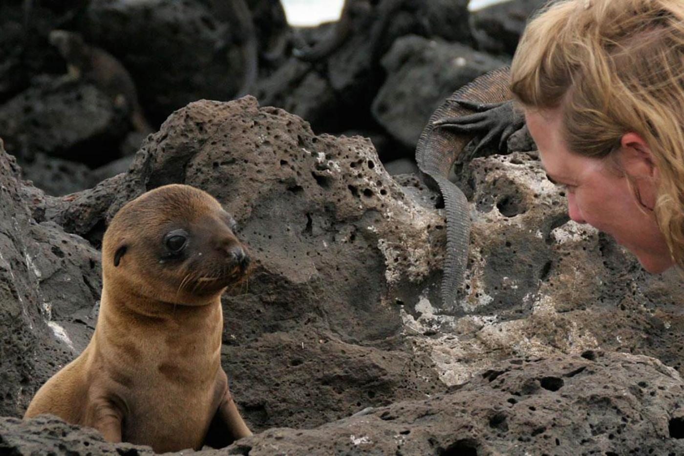 Galapagos: Paradise on the Brink