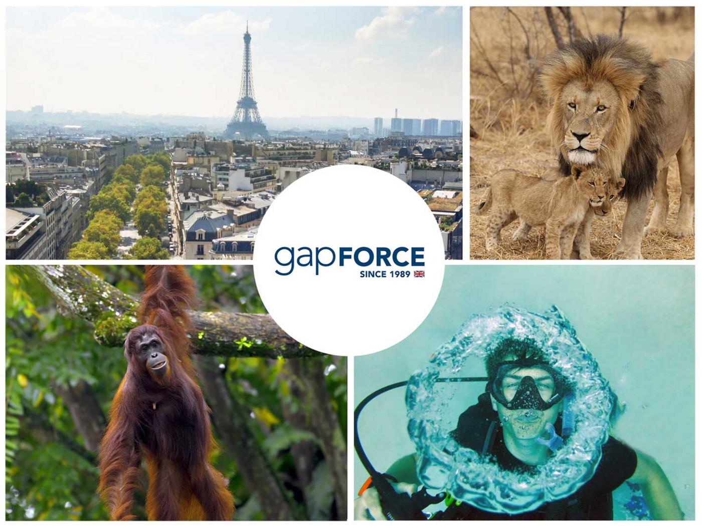 Gapforce: Updated Gap Year and Summer Projects in Europe, Borneo, Bali and more!