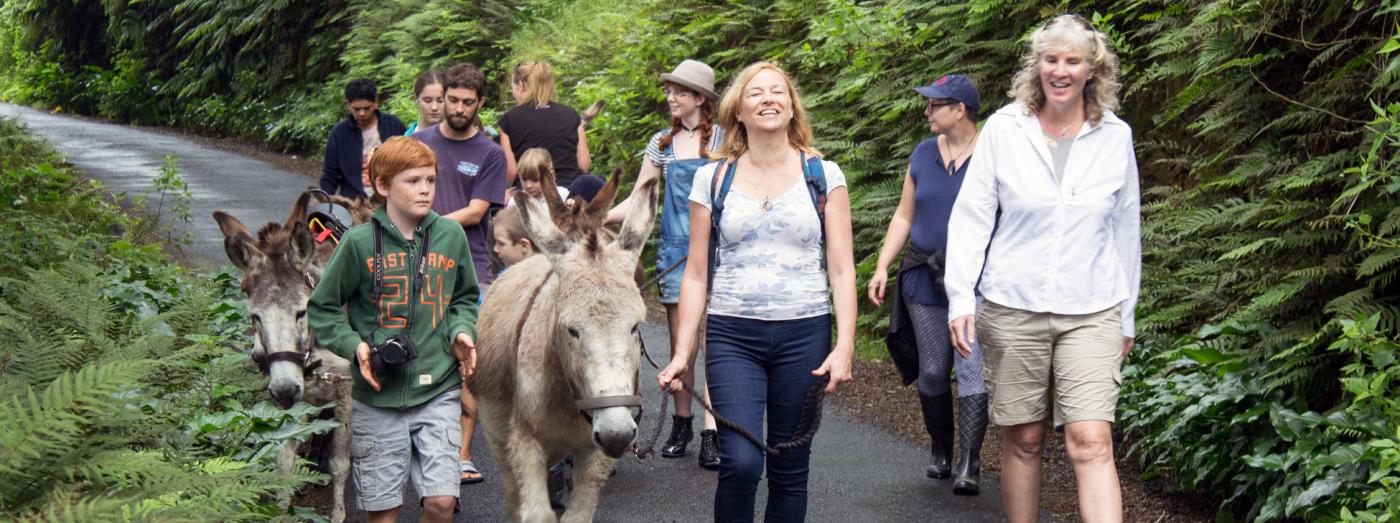 On the island of St Helena, donkeys retired from daily use live in a rescue supported by tourism. (Author on right and Lisa Honan, former Governor of Saint Helena.) 