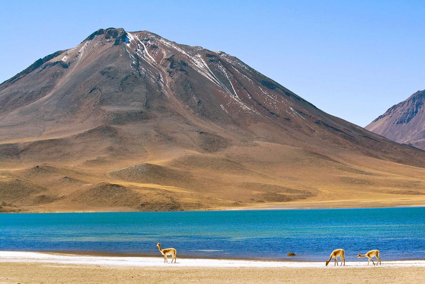 Seeing Home Through Chile-Coloured Lenses