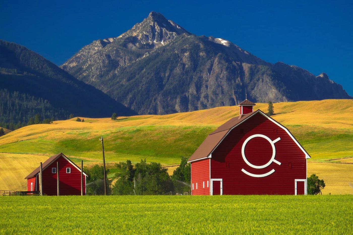 Farm Volunteering: How to Decode the Listings