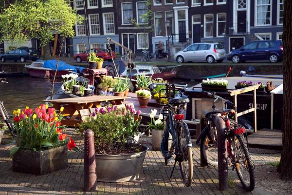 Going Dutch: Getting Used to the Culture of the Netherlands