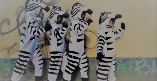 Yes, it&#039;s true—everything IS better with zebras!