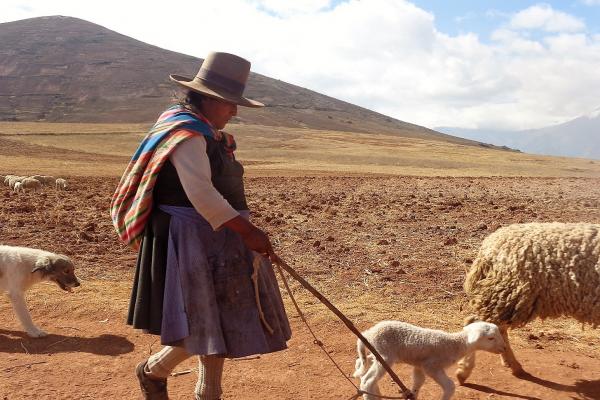 Life at a Different Pace in Peru