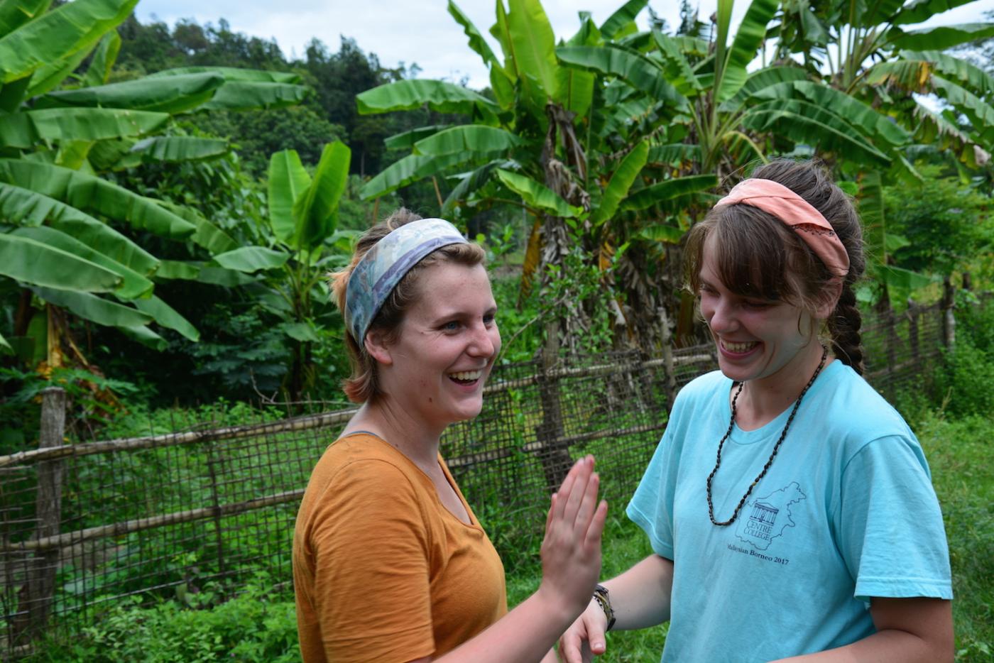 Margaux and Tyree, two American students, are working on a farm in northern Thailand. 