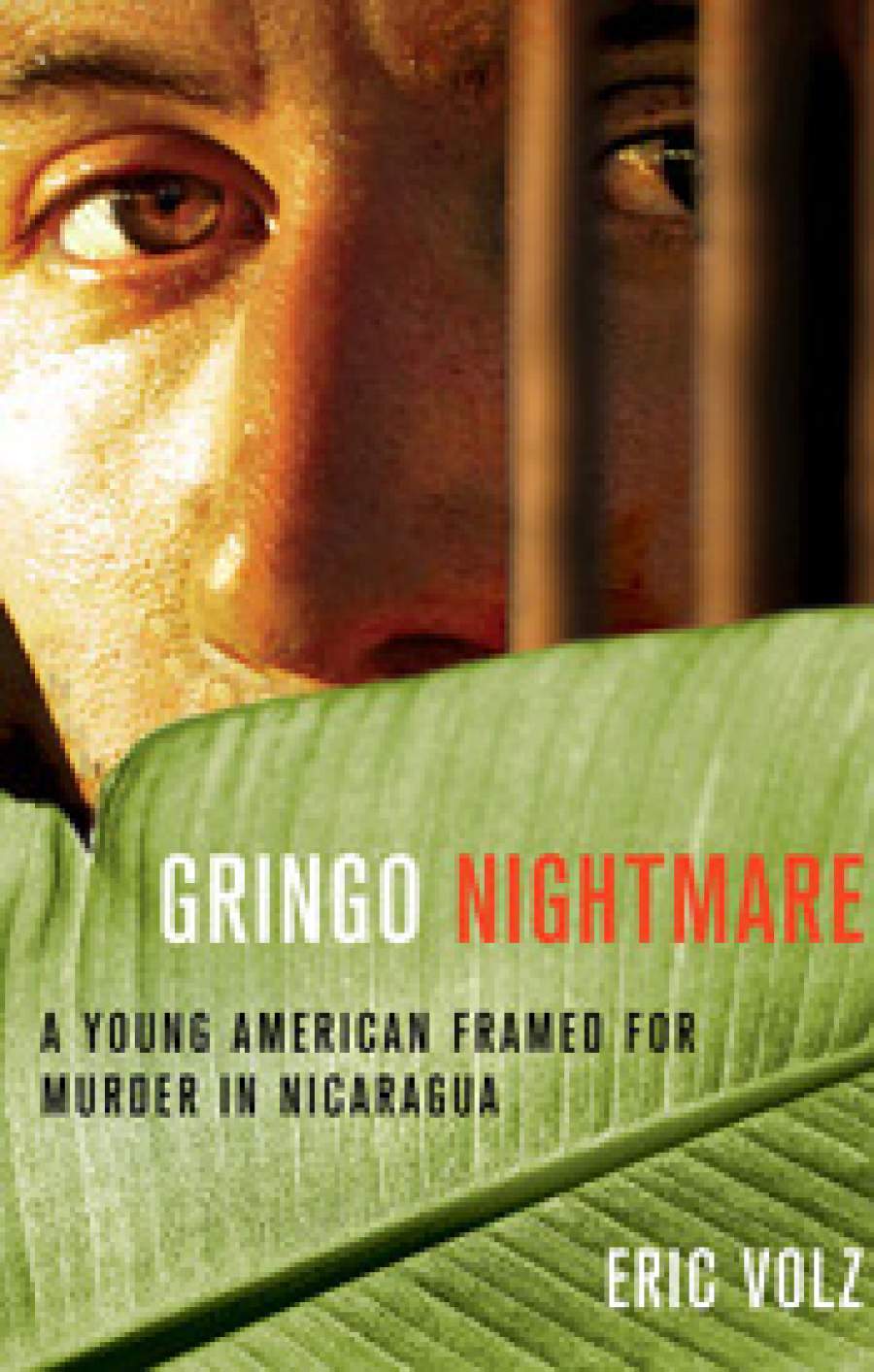 Gringo Nightmare Eric Volz Verge Magazine Volunteer Abroad Work And Travel Study Abroad