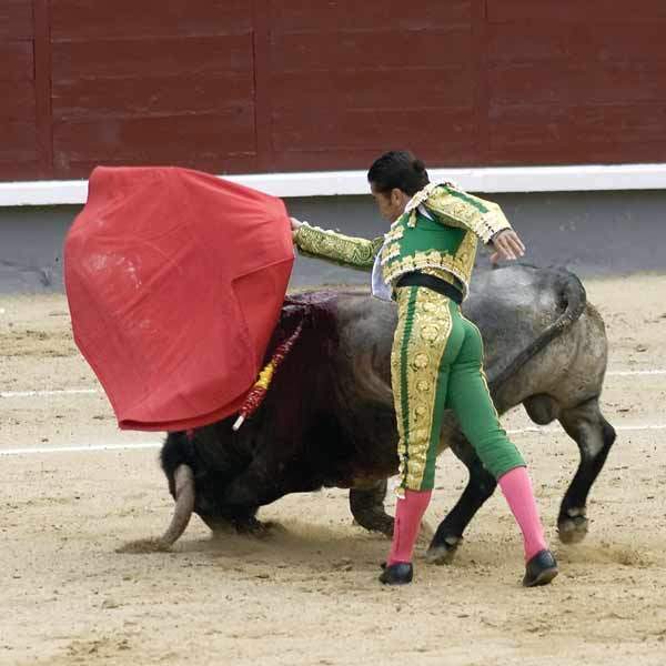 Of Men and Bulls: The Spanish Tradition of Bullfighting