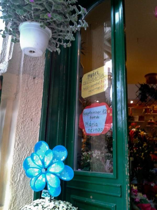A name day sign hangs in a Hungarian flower shop window.