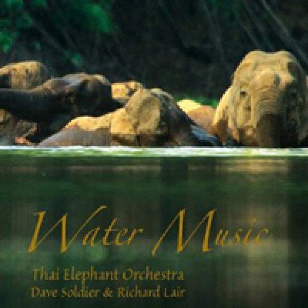 Water Music: Thai Elephant Orchestra   