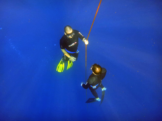 Careers for Globetrotters: Freediving instructor